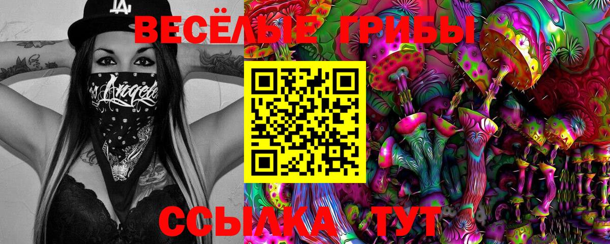 Галлюциногенные грибы Cubensis Бирск