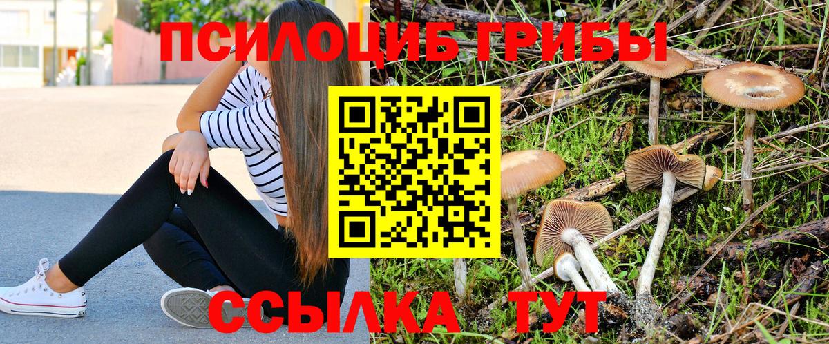 Галлюциногенные грибы GOLDEN TEACHER  Вход с VPN  Галлюциногенные грибы мицелий  Бирск 